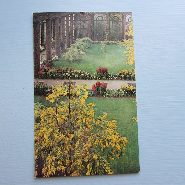 LONGWOOD GARDENS, Kennett Square PA Pennsylvania Botanical Vintage Postcard Kennett Square, Chester County Acacia Specimens