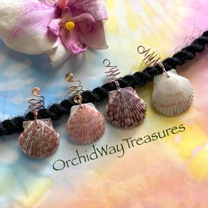 Shell Dread/Braid Charm Dreadlock Coil Choice of Colors OOAK Loc Jewelry Beachy Sea Shell Hair Accessories