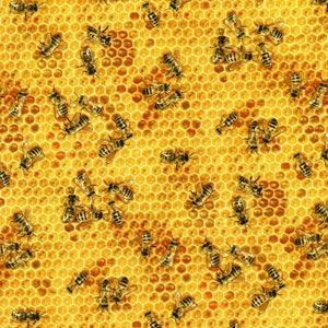 Honey Bees Honeycomb Elizabeth Studio Cotton Fabric 510 Honey, By the Yard