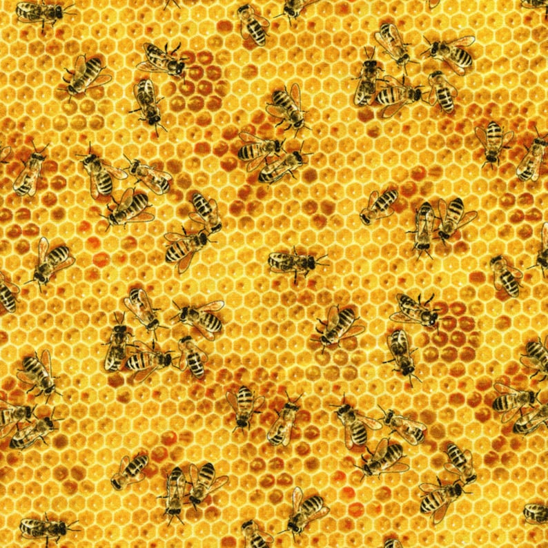 Honey Bees Elizabeth Studio Cotton Fabric 510 Honey Etsy