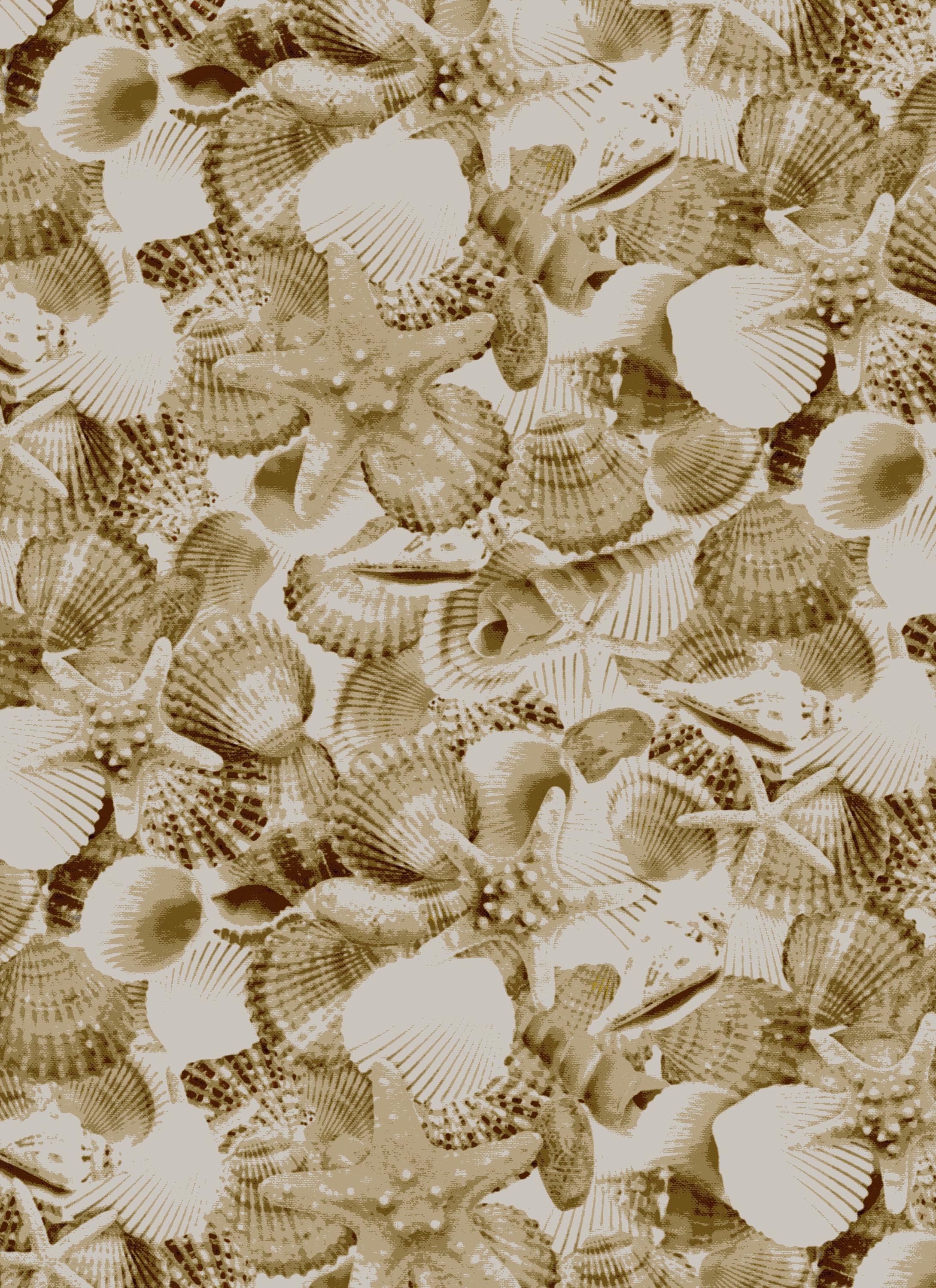 HALF YARD Packed Shells Beach CD3973 Shell Timeless Treasures Cotton ...