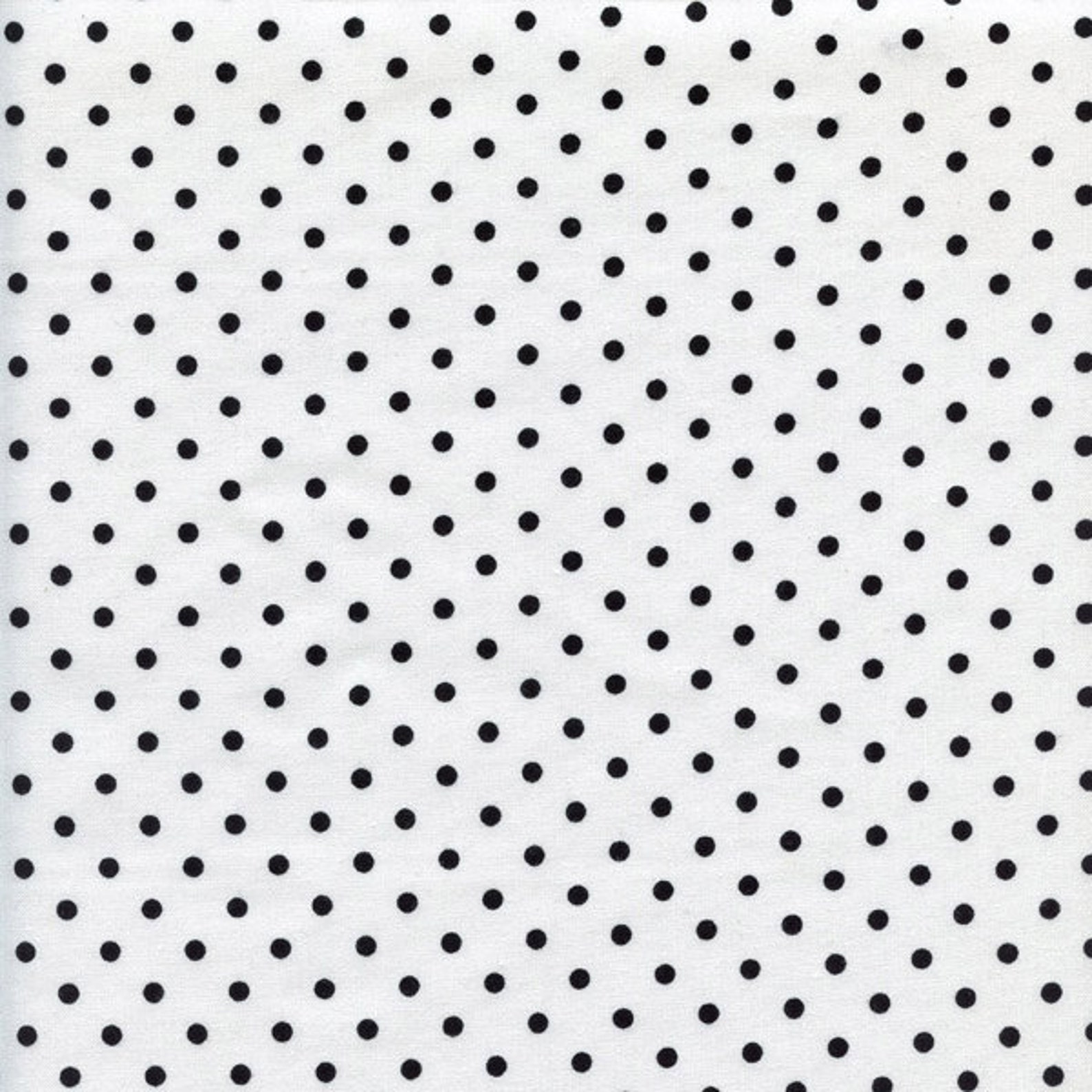 Small White Polka Dot Timeless Treasures Cotton Fabric C1820 | Etsy