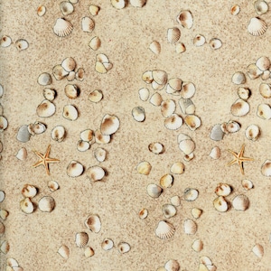 Sea Shell Beach Landscape Medley Elizabeth&#39;s Studio Cotton Fabric 555 Sand, By the Yard
