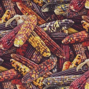 Festival gastronómico de mazorcas de maíz Elizabeth&#39;s Studio Sewing Tela de algodón 595 Multi, cortada a medida