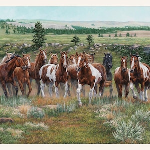 Horses Wild and Free Panel 23.5inches 11003 Multi Elizabeth&#39;s Studio