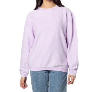 May include: A lavender colored long-sleeved sweatshirt with a ribbed texture. The sweatshirt has a crew neck and a relaxed fit.