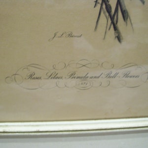 Jean Louis Prévost Print Botanical Larkpur Floral Art OR J L Prevost ...