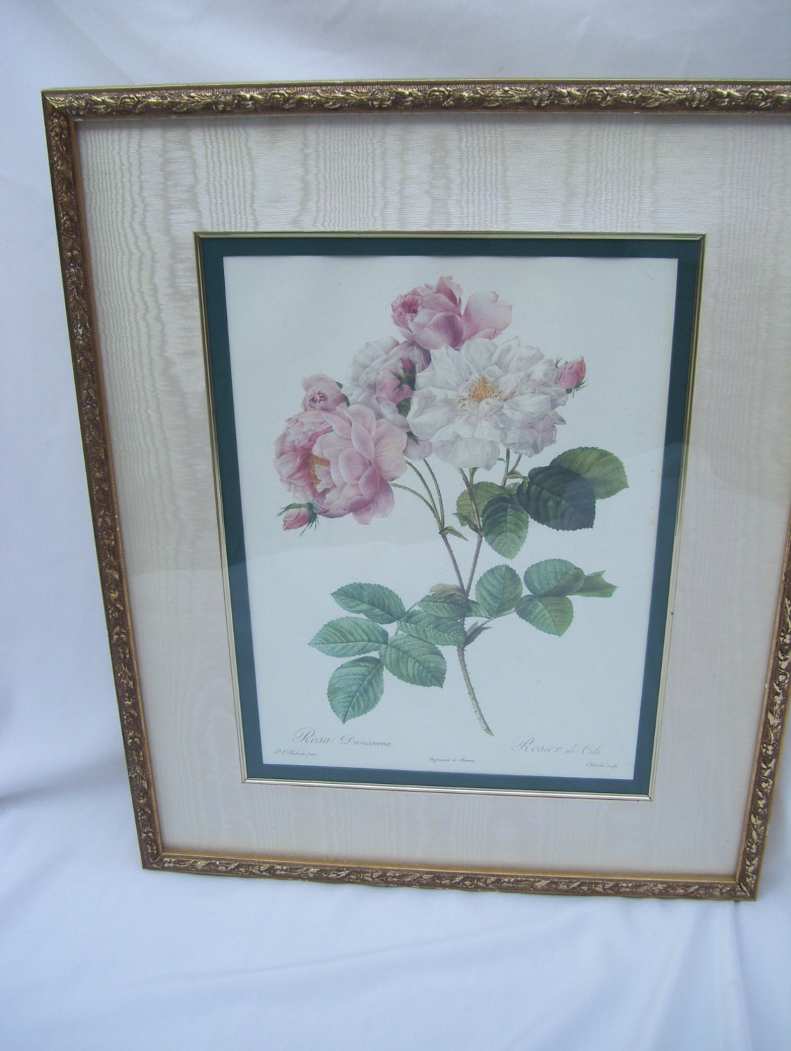 The Bombay Company Triple Rose Wall Art Framed Rosa Damascena Etsy