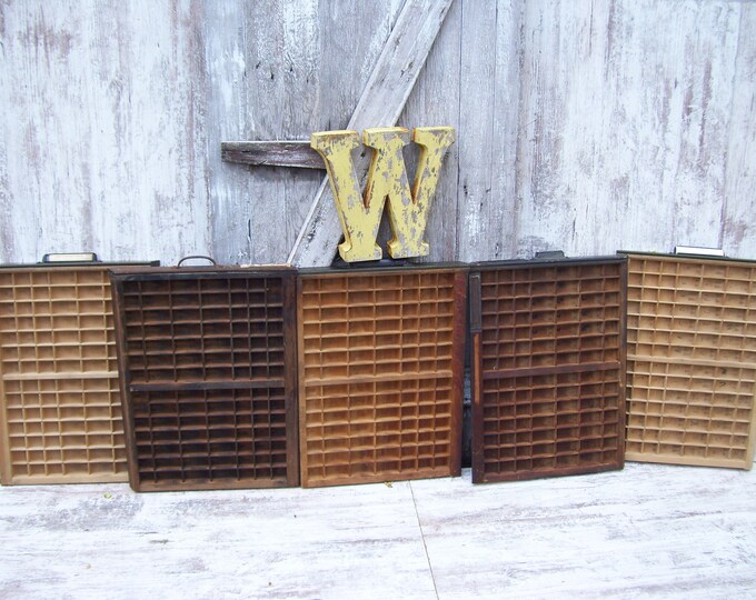 Hamilton Printers Drawer Letterpress Tray Wood Sections Display