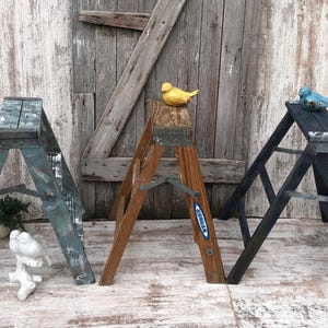 Werner Wood Ladder 2 Step Wooden Ladder Plant Stand Farmhouse Primitive YOUR CHOICE #2