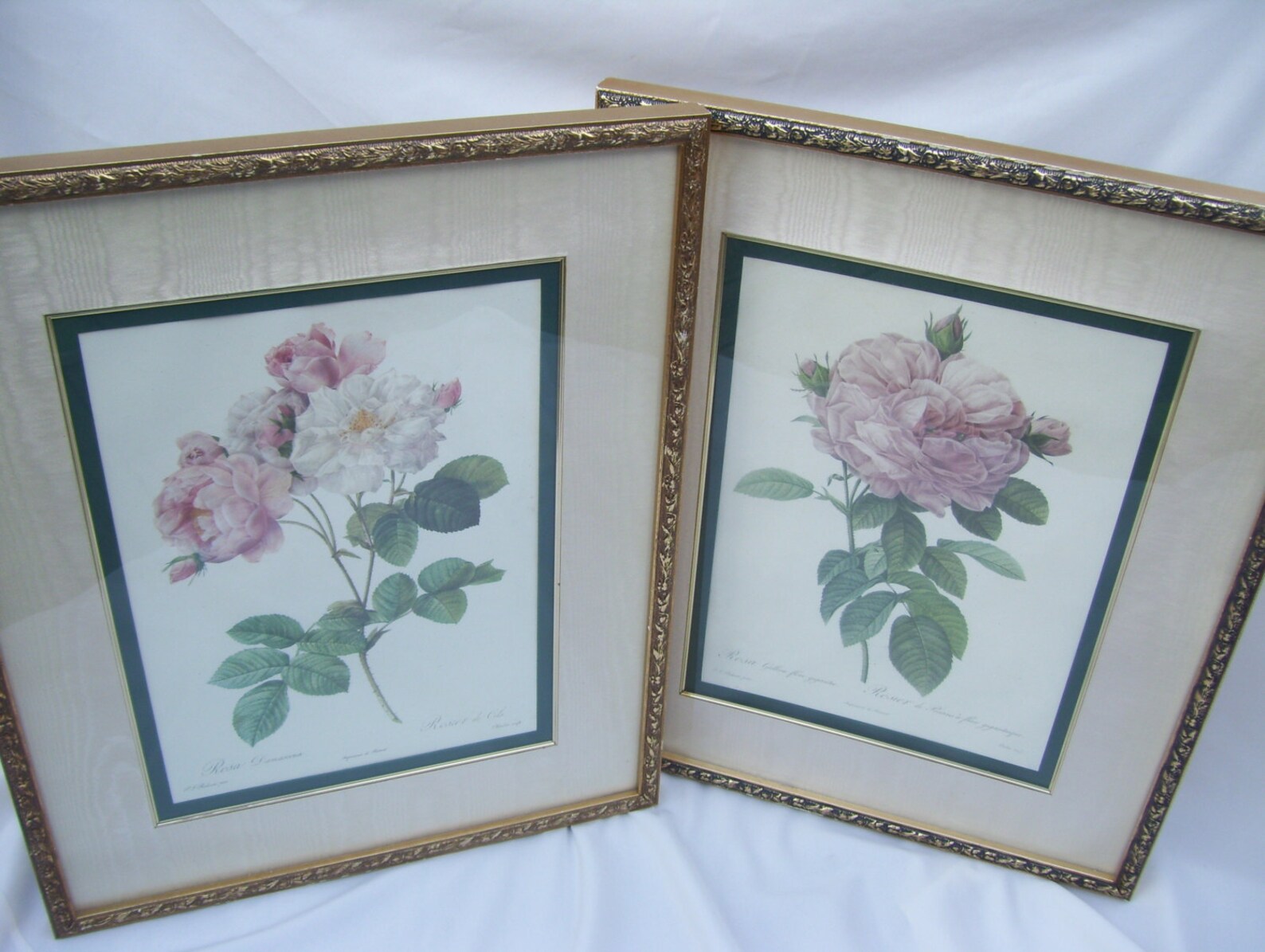 The Bombay Company Triple Rose Wall Art Framed Rosa Damascena Etsy