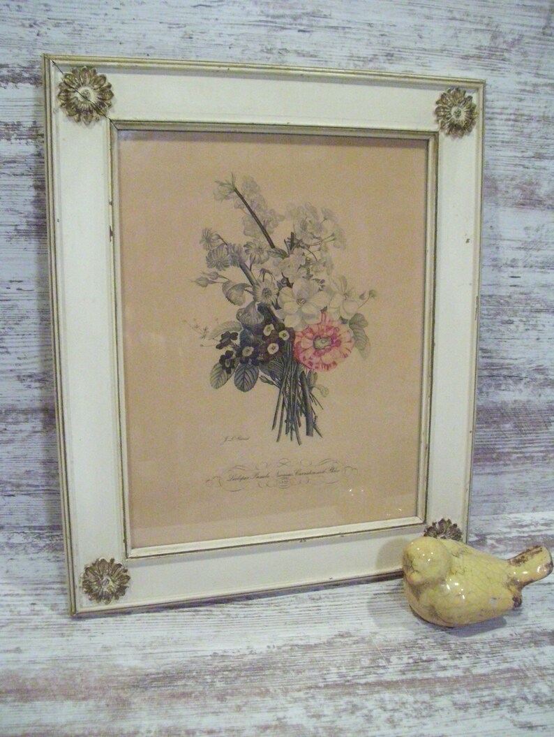 Jean Louis Prévost Print Botanical Larkpur Floral Art OR J L Prevost ...