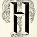 Chanel Harmon