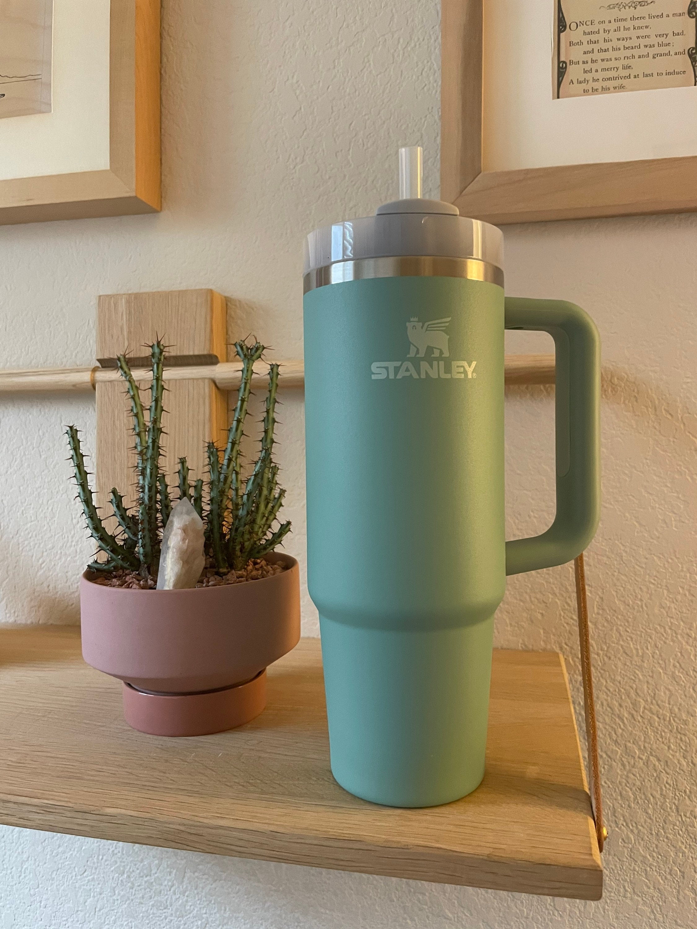  Stanley Adventure Eucalyptus 30oz - Reusable Vacuum Quencher  Tumbler with Straw, Leak Resistant Lid, Insulated Cup, Maintains Cold,  Heat, and Ice for Hours : Home & Kitchen