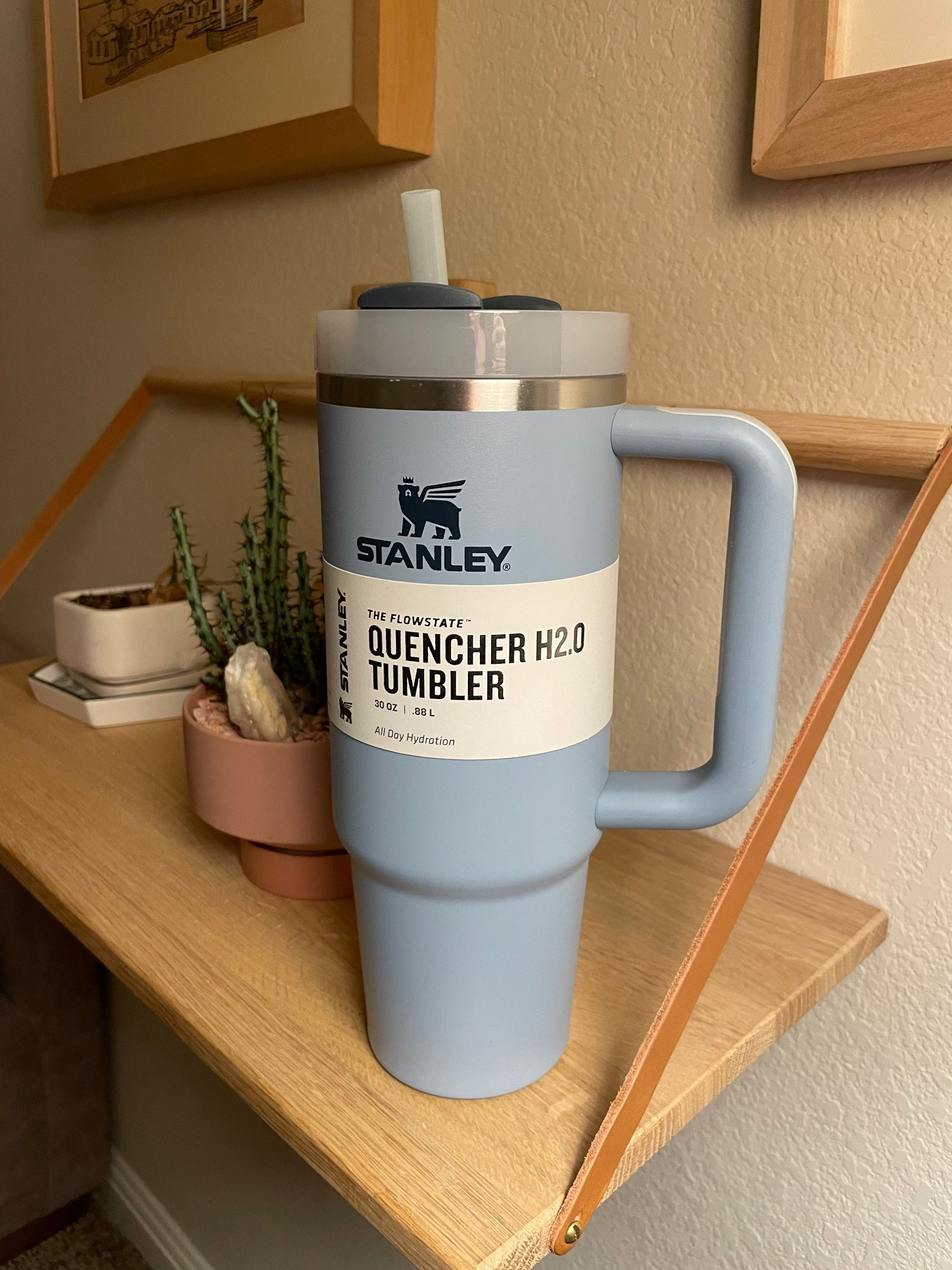 Stanley The Quencher 30 oz. H2.0 FlowState Tumbler in Cream