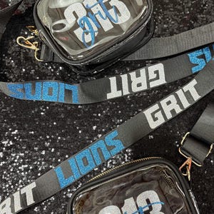 Detroit lions clear stadium bag with coin insert