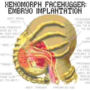 Facehugger Implantation Cross Stitch PATTERN