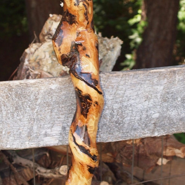 Unique Handcrafted Hiking Stick  Ready to Ship ref stick x80