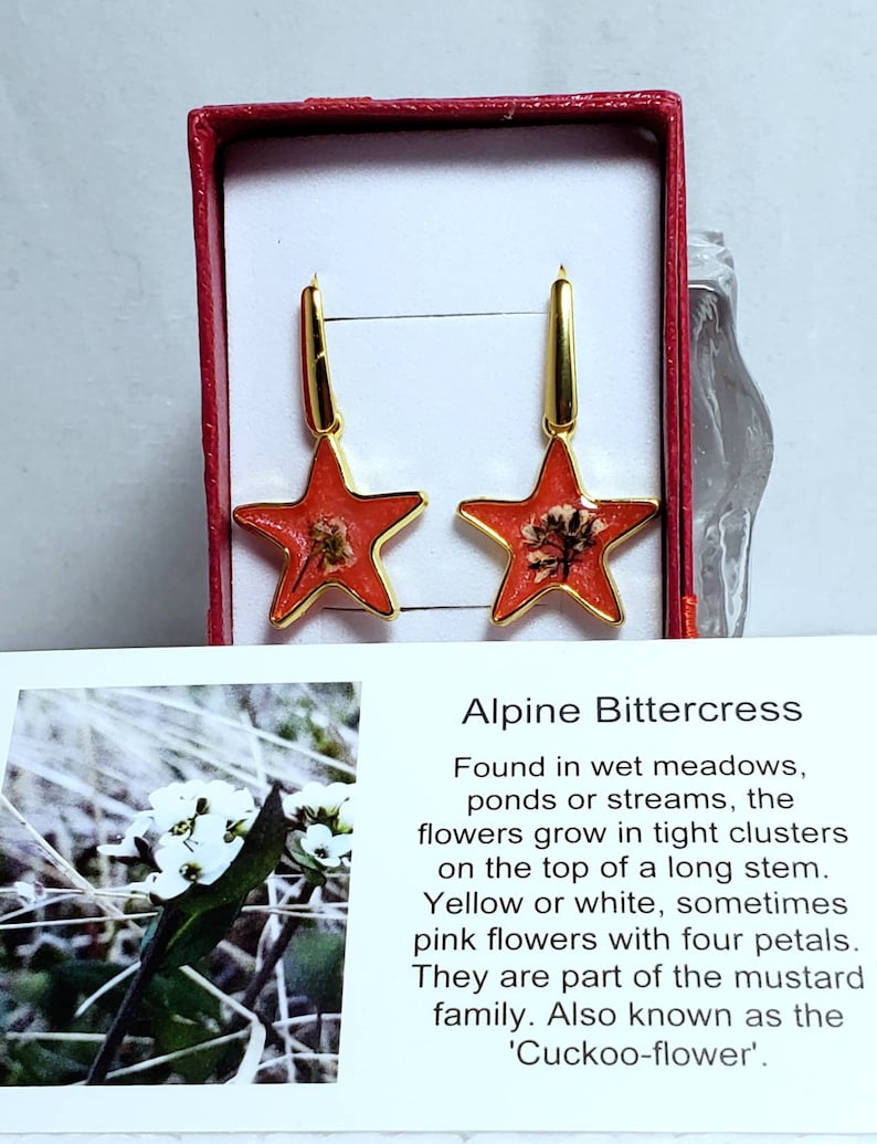 Handmade celestial flower earrings tiny colourful moon and star dropsdangles resin floral starscape jewelry