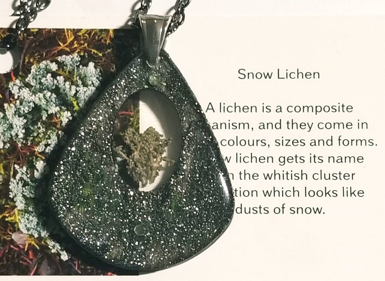 real arctic lichen inside Necklaces in a wooden silver teardrop