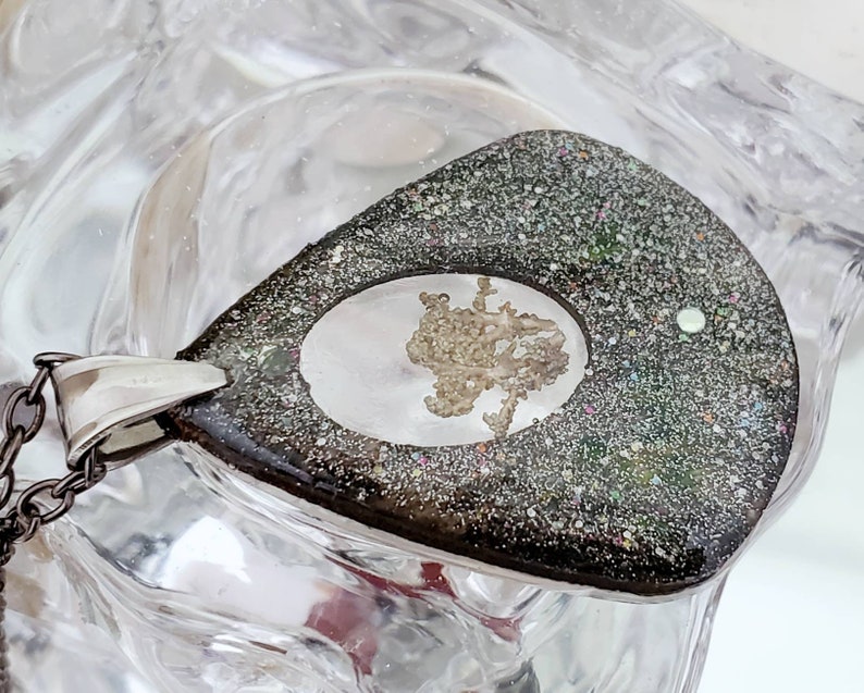 real arctic lichen inside Necklaces in a wooden silver teardrop