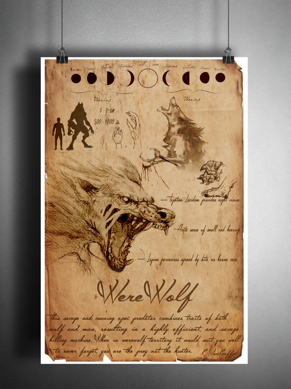 Werewolf Folklore Art Sketch Cryptozoology Field Guide Bestiary Art Myths And Monsters