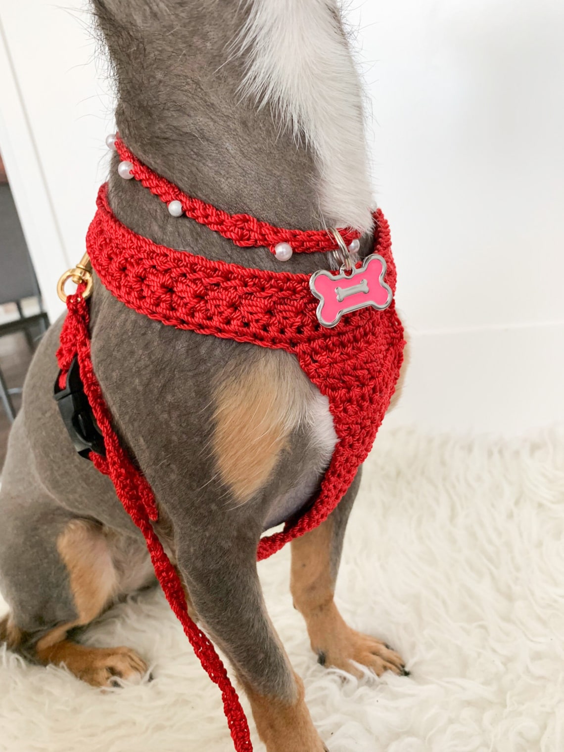 Custom madetoorder crochet harness for dogs cats Etsy
