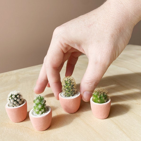 SURPRISE! Mini Cactus and Mini Handmade Ceramic Planter // Mini Planter // Cactus Plant // Handmade Planter // Cactus Planter // Mini