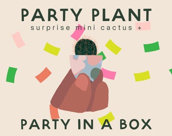 Party Plant: Party in a Box!