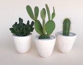 Gift Set - Top Seller Large - Cactus Plants Ceramic Planters Cactus Clay Planter Live Cactus Plant Handmade Planter