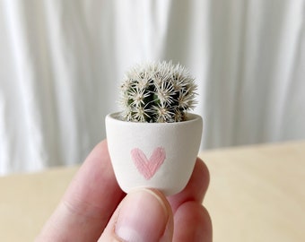 Candace Mini Cactus and Mini Planter, Handmade Ceramic Planter,  Tiny Cactus, Cactus Plant, Cactus Planter