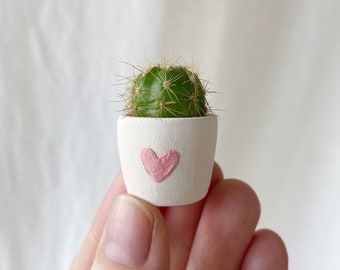 Frank Mini Cactus and Mini Planter - Frank Mini Cactus Kit, Handmade Ceramic Planter, Mini Cactus, Cactus Plant, Cactus Planter, Planter