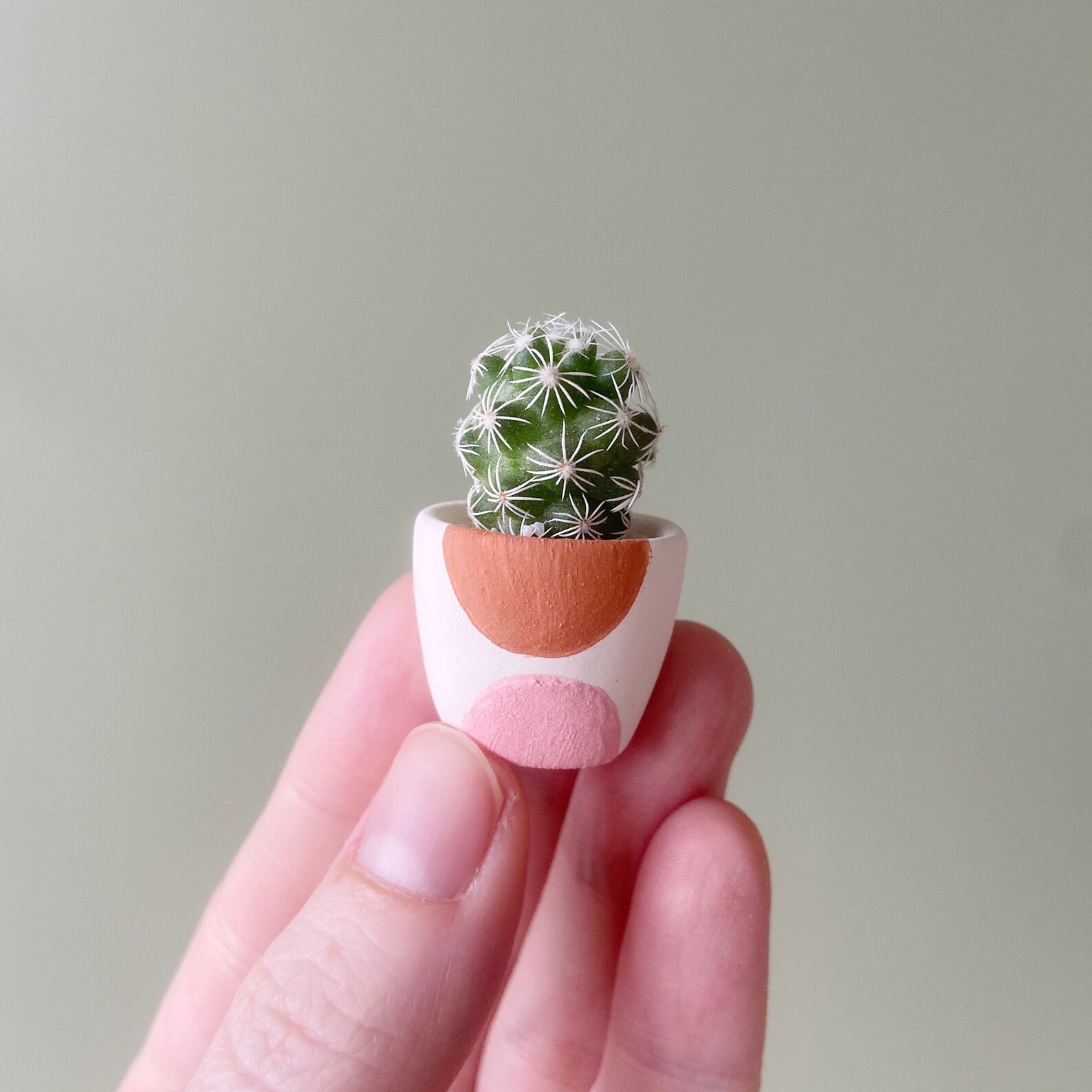 Lino Mini Cactus Plant Kit Yuma Handmade Ceramic Planter Etsy