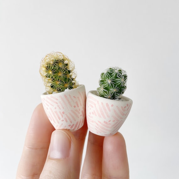 Mini Cactus and Pink Mini Planter Lino Mini Cactus Kit, Handmade