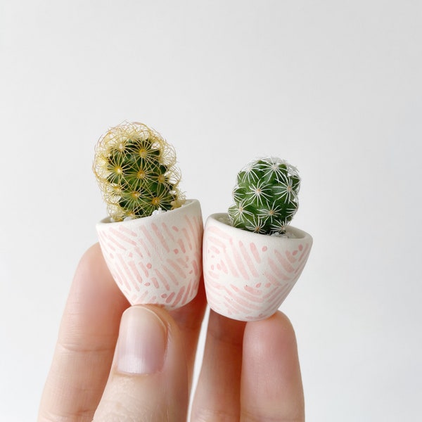 Kit de mini cactus et mini jardinière rose - Mini kit de cactus Lino, jardinière en céramique faite main, mini cactus, plante de cactus, jardinière de cactus
