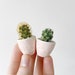 see more listings in the Mini Plants + Planters section