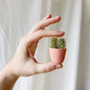 You Me Mini Cactus and Mini Planter, Handmade Ceramic Planter, Mini Cactus, Cactus Plant, Cactus Planter image 6