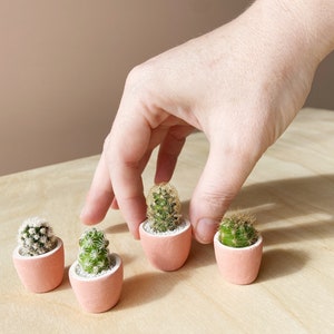 Mini Cactus Kit with Mini Planter Lino Mini Cactus Kit, Handmade Ceramic Planter, Mini Cactus, Cactus Plant, Cactus Planter, Planter image 5