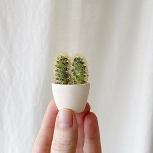 You Me Mini Cactus and Mini Planter, Handmade Ceramic Planter, Mini Cactus, Cactus Plant, Cactus Planter image 5