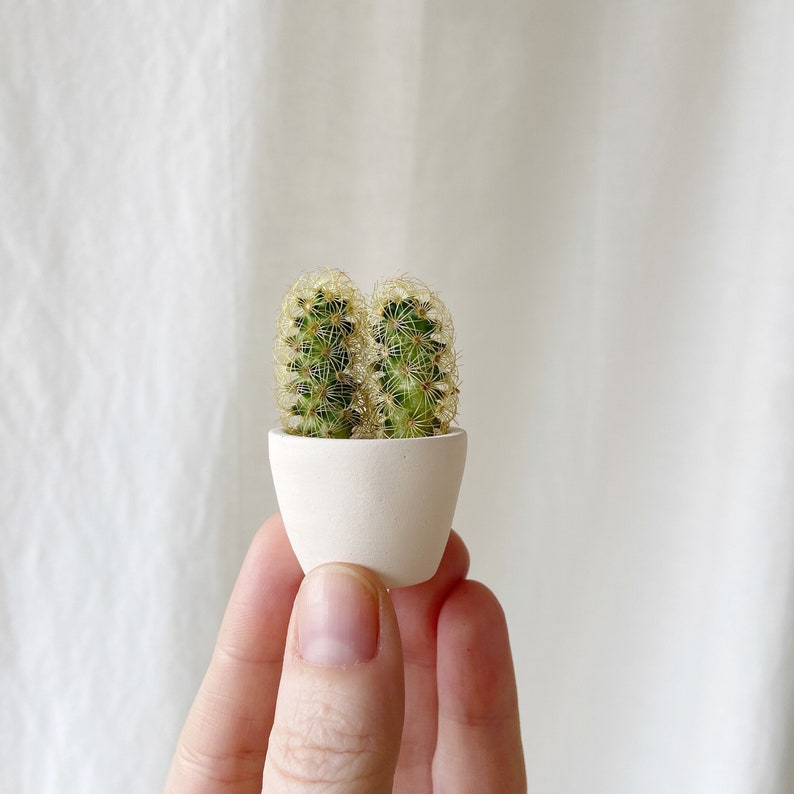 You Me Mini Cactus and Mini Planter, Handmade Ceramic Planter, Mini Cactus, Cactus Plant, Cactus Planter image 5