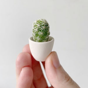 Mini Cactus Kit with Mini Planter Lino Mini Cactus Kit, Handmade Ceramic Planter, Mini Cactus, Cactus Plant, Cactus Planter, Planter image 10
