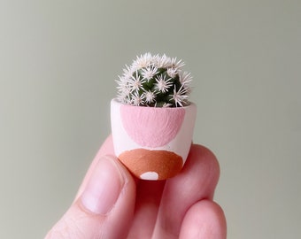 Candace Mini Cactus + Rado Handmade Ceramic Planter,  Mini Cactus Kit, Handmade Ceramic Planter, Mini Cactus, Cactus Plant, Cactus Planter