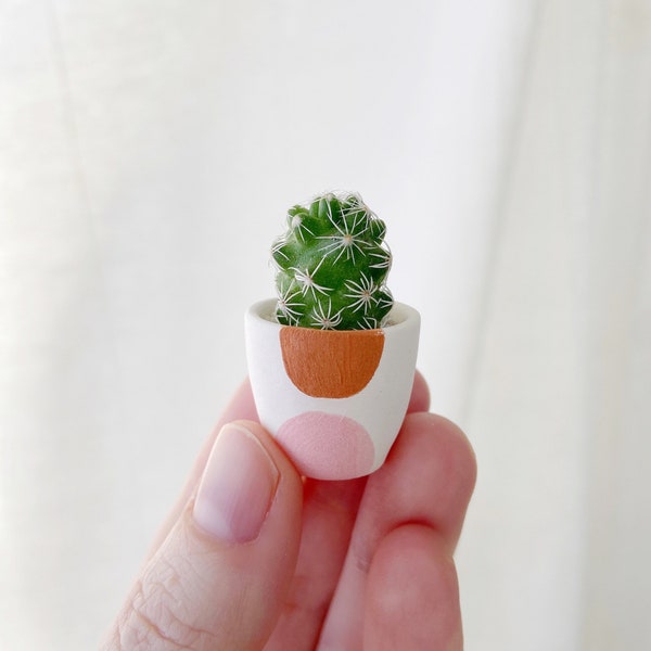 Lino Mini Cactus Plant Kit + Yuma Handmade Ceramic Planter,  Mini Cactus Kit, Handmade Ceramic Planter, Mini Cactus, Cactus Plant