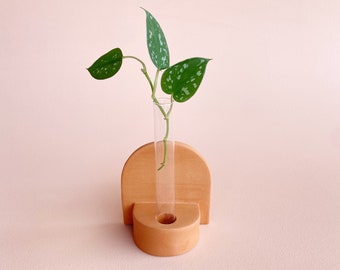 Tiju Plant Propagation Vessel // Handmade Ceramic and Glass // Plant Rooting Vessel // Propagation Stand // Bud Vase