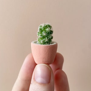 Mini Cactus Kit with Mini Planter Lino Mini Cactus Kit, Handmade Ceramic Planter, Mini Cactus, Cactus Plant, Cactus Planter, Planter image 2