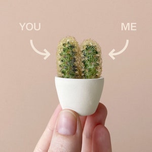 You Me Mini Cactus and Mini Planter, Handmade Ceramic Planter, Mini Cactus, Cactus Plant, Cactus Planter image 1