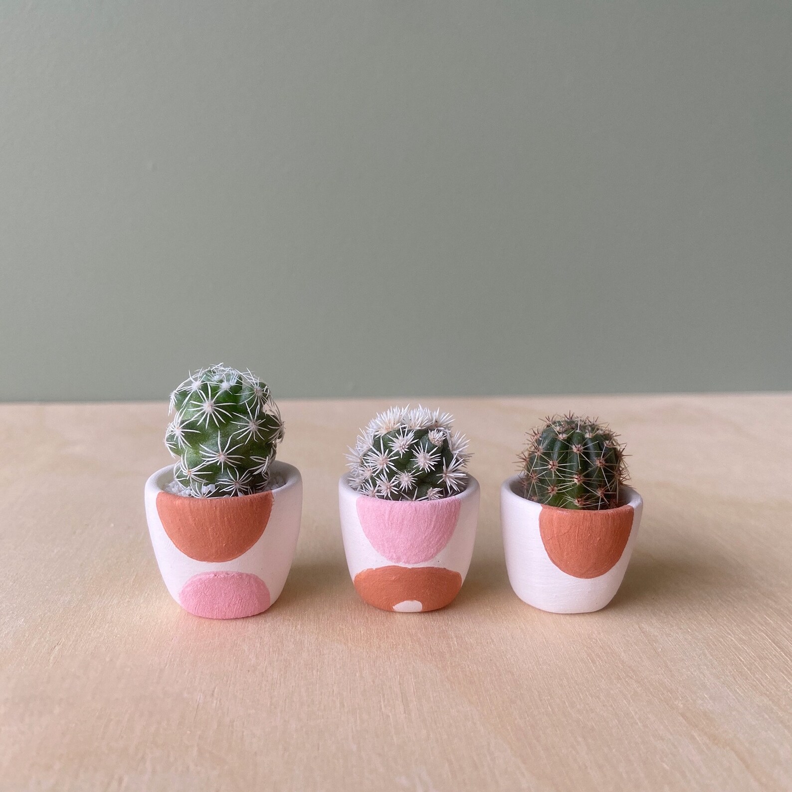 Lino Mini Cactus Plant Kit Yuma Handmade Ceramic Planter Etsy
