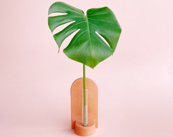 Nema Plant Propagation Vessel // Handmade Ceramic and Glass // Plant Rooting Vessel // Propagation Stand // Bud Vase