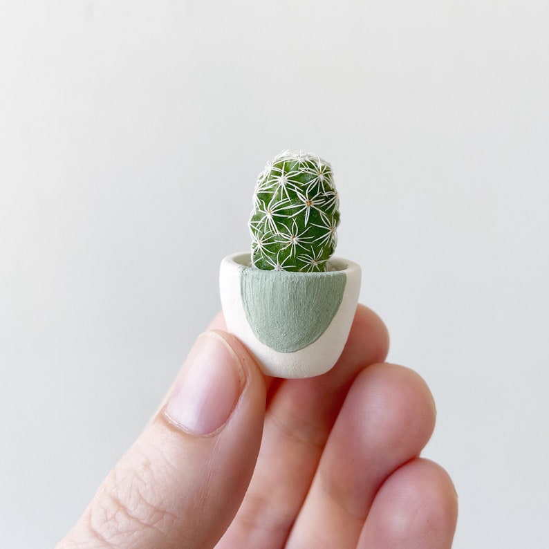 Mini Cactus and Green Circle Mini Planter Lino Mini Cactus Kit, Handmade Ceramic Planter, Mini Cactus, Cactus Plant, Cactus Planter Lino cactus