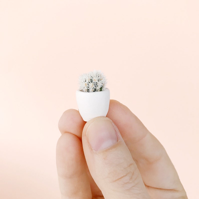SURPRISE Micro Mini Cactus Kit and Micro Mini Handmade Etsy